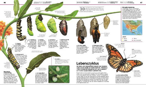 9783831049714 - Sample content