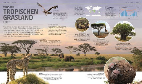 9783831049790 - Sample content