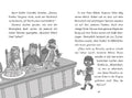 9783831050086 - Sample content