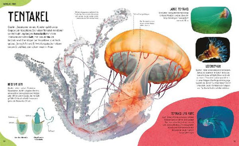 9783831050451 - Sample content