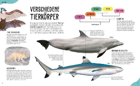 9783831050451 - Sample content