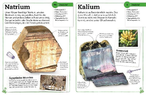 9783831050499 - Sample content