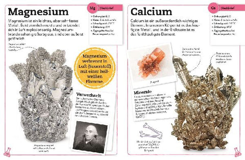 9783831050499 - Sample content