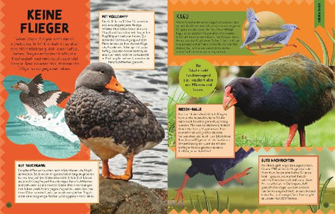 9783831050574 - Sample content