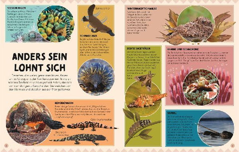 9783831050574 - Sample content