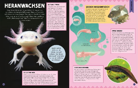 9783831050574 - Sample content