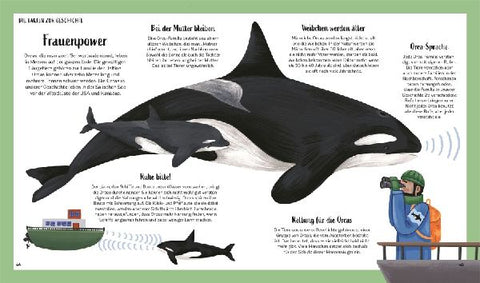 9783831050598 - Sample content