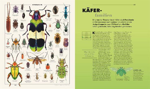 9783831050826 - Sample content