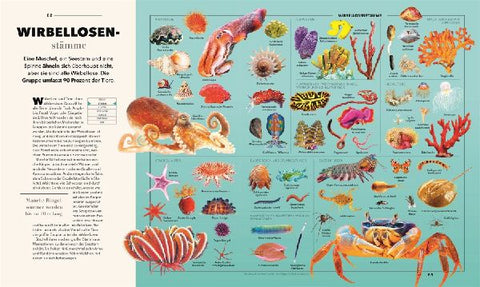 9783831050826 - Sample content