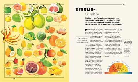 9783831050826 - Sample content