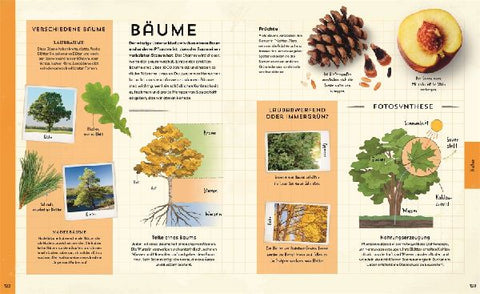 9783831051137 - Sample content