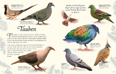 9783831051144 - Sample content