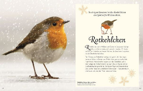 9783831051144 - Sample content