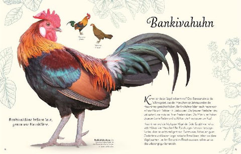 9783831051144 - Sample content