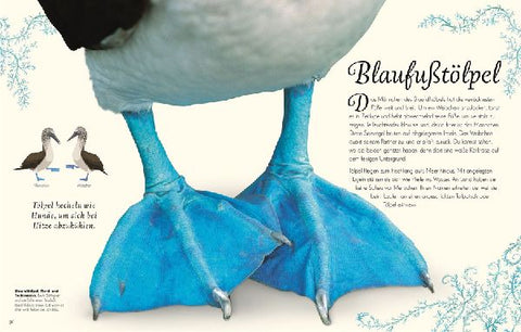 9783831051144 - Sample content