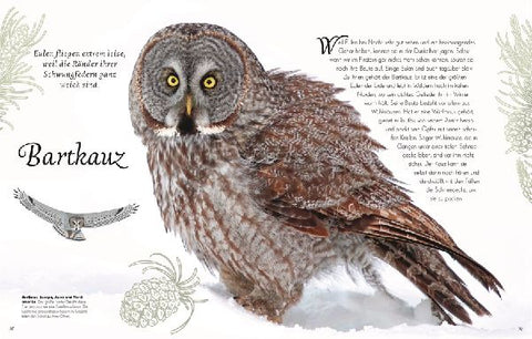 9783831051144 - Sample content