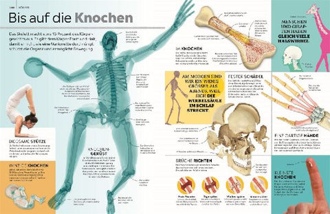 9783831051168 - Sample content