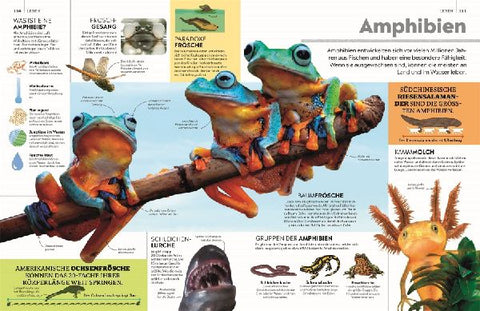 9783831051168 - Sample content