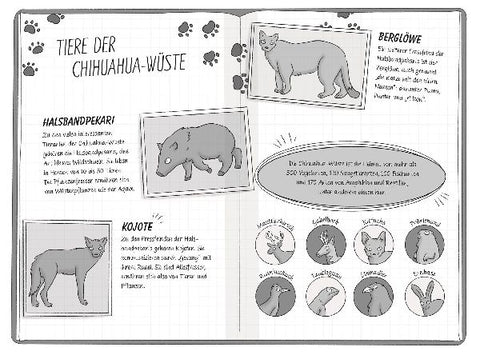 9783831051199 - Sample content