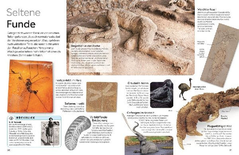 9783831051380 - Sample content