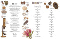 9783831051380 - Sample content
