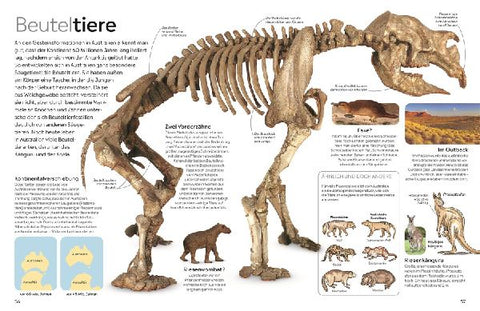 9783831051380 - Sample content