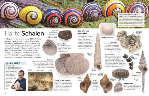 9783831051380 - Sample content