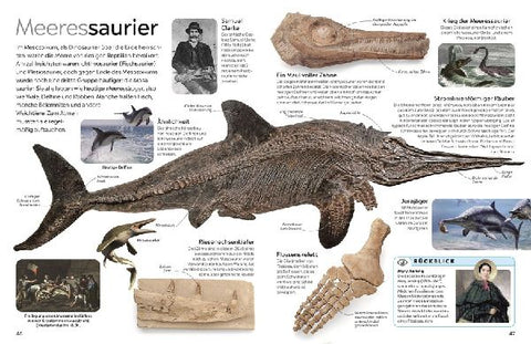 9783831051380 - Sample content