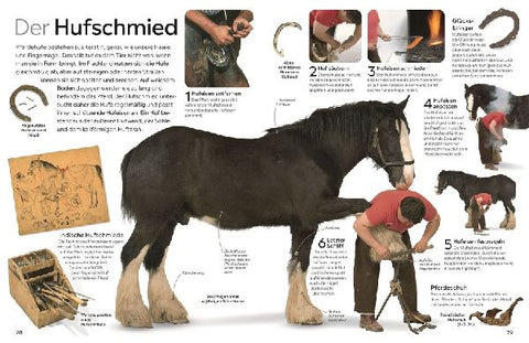 9783831051397 - Sample content