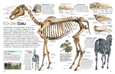 9783831051397 - Sample content