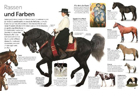 9783831051397 - Sample content