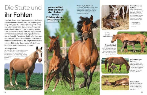 9783831051397 - Sample content