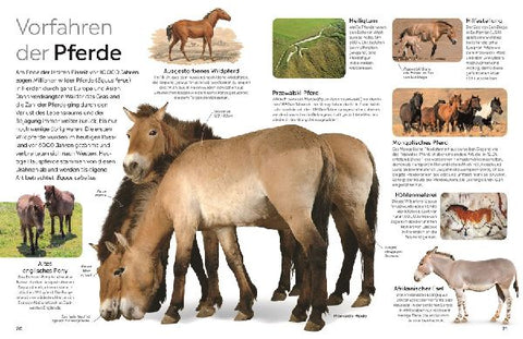 9783831051397 - Sample content