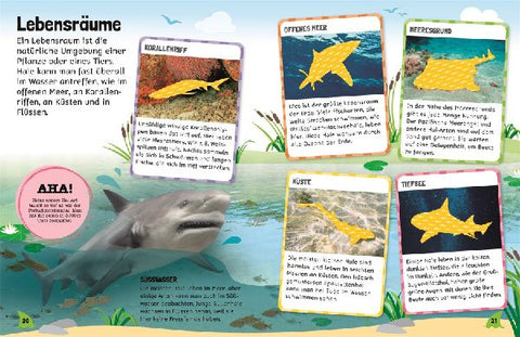 9783831051687 - Sample content