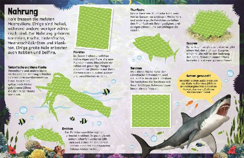 9783831051687 - Sample content