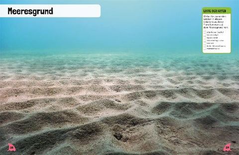 9783831051687 - Sample content