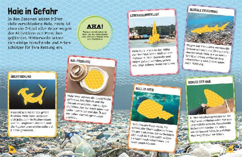 9783831051687 - Sample content