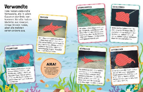 9783831051687 - Sample content