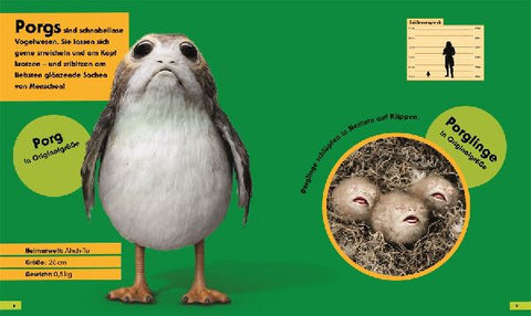 9783831051878 - Sample content