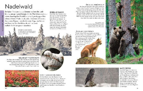 9783831052141 - Sample content