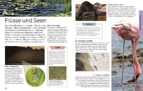 9783831052141 - Sample content