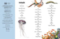 9783831052486 - Sample content