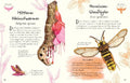 9783831052516 - Sample content