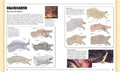 9783831052684 - Sample content