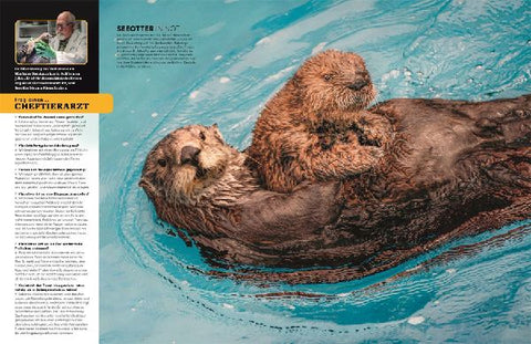 9783831052868 - Sample content