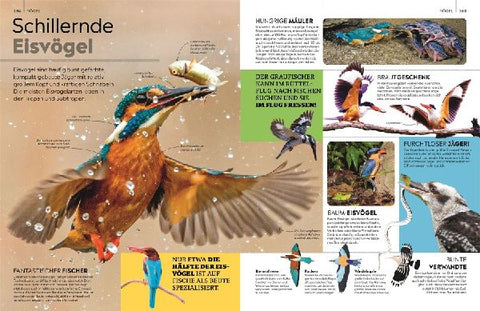 9783831052868 - Sample content