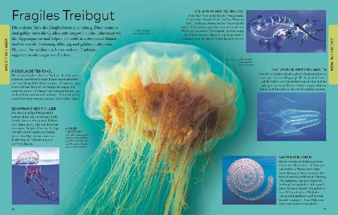 9783831052967 - Sample content