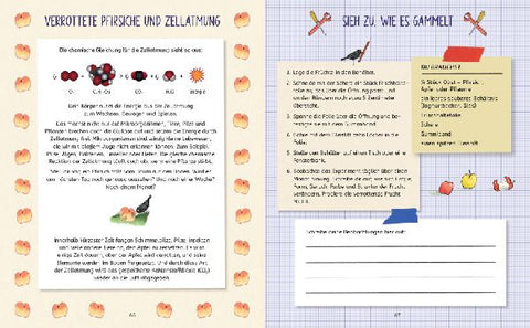 9783833908606 - Sample content