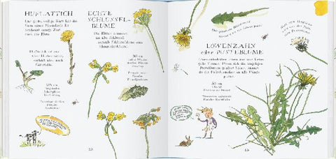 9783836951067 - Sample content