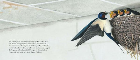 9783836954525 - Sample content